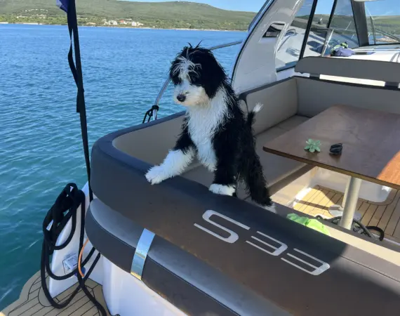 Motoryacht mieten Biograd Kroatien